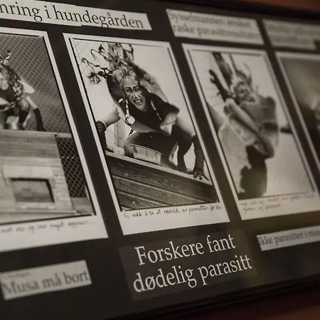 Mary-ann's Polarrigg 2* Longyearbyen