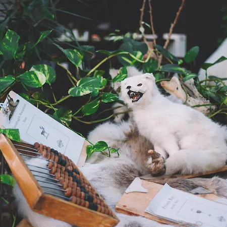 Mary-ann's Polarrigg Hotel