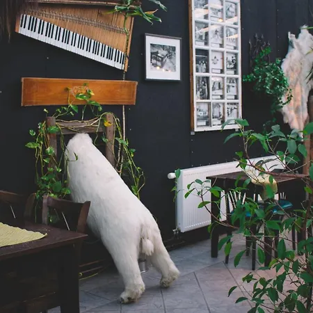 Mary-ann's Polarrigg Hotel 2*