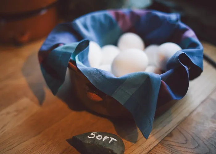 玛丽安波拉里格酒店 酒店 朗伊尔城