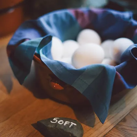 매리-앤 폴라리그 호텔 롱이어비엔