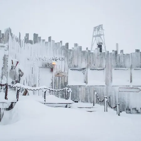 매리-앤 폴라리그 호텔 롱이어비엔
