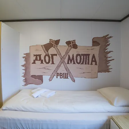 매리-앤 폴라리그