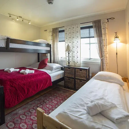 매리-앤 폴라리그 2*