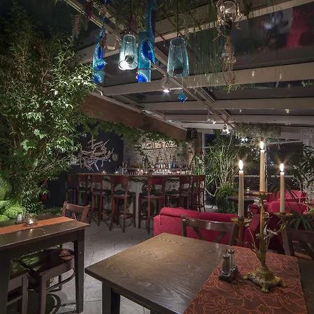 매리-앤 폴라리그 호텔 롱이어비엔