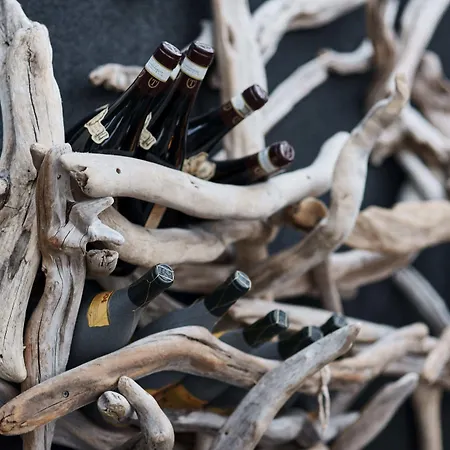 매리-앤 폴라리그 2* 롱이어비엔