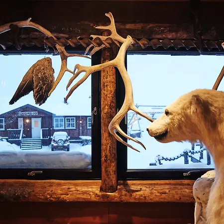 매리-앤 폴라리그