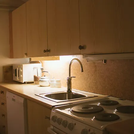 매리-앤 폴라리그 2*