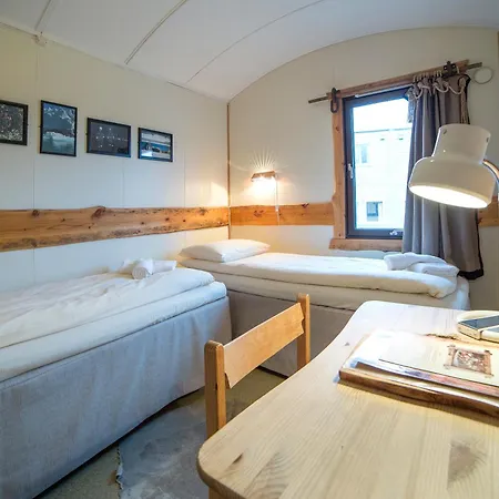 매리-앤 폴라리그