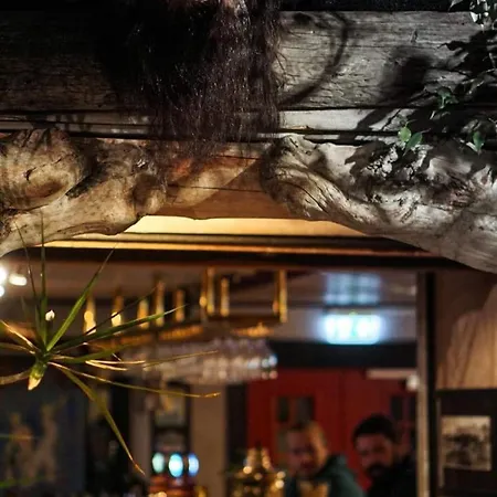 호텔 매리-앤 폴라리그 2*