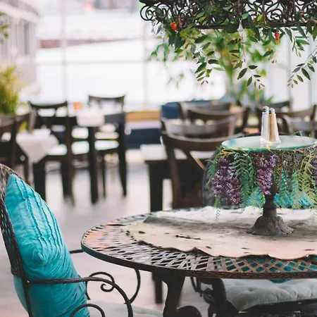 매리-앤 폴라리그